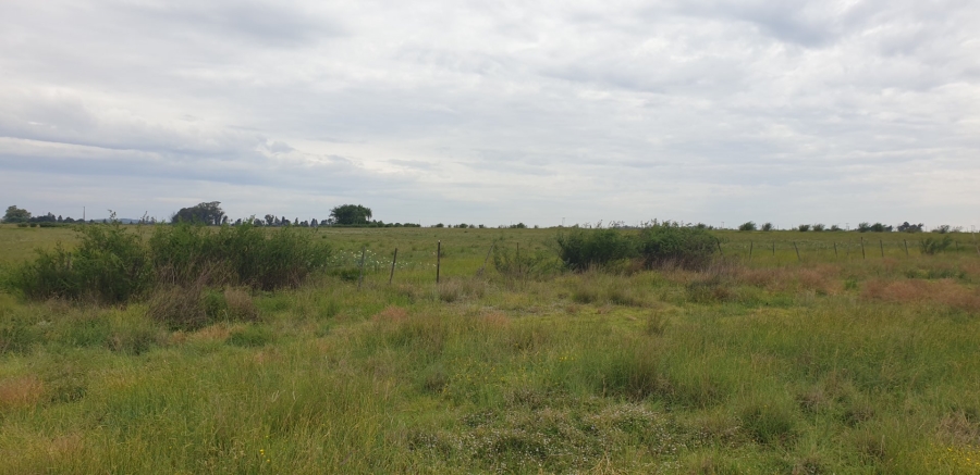 Commercial Property for Sale in Bloemfontein Rural Free State